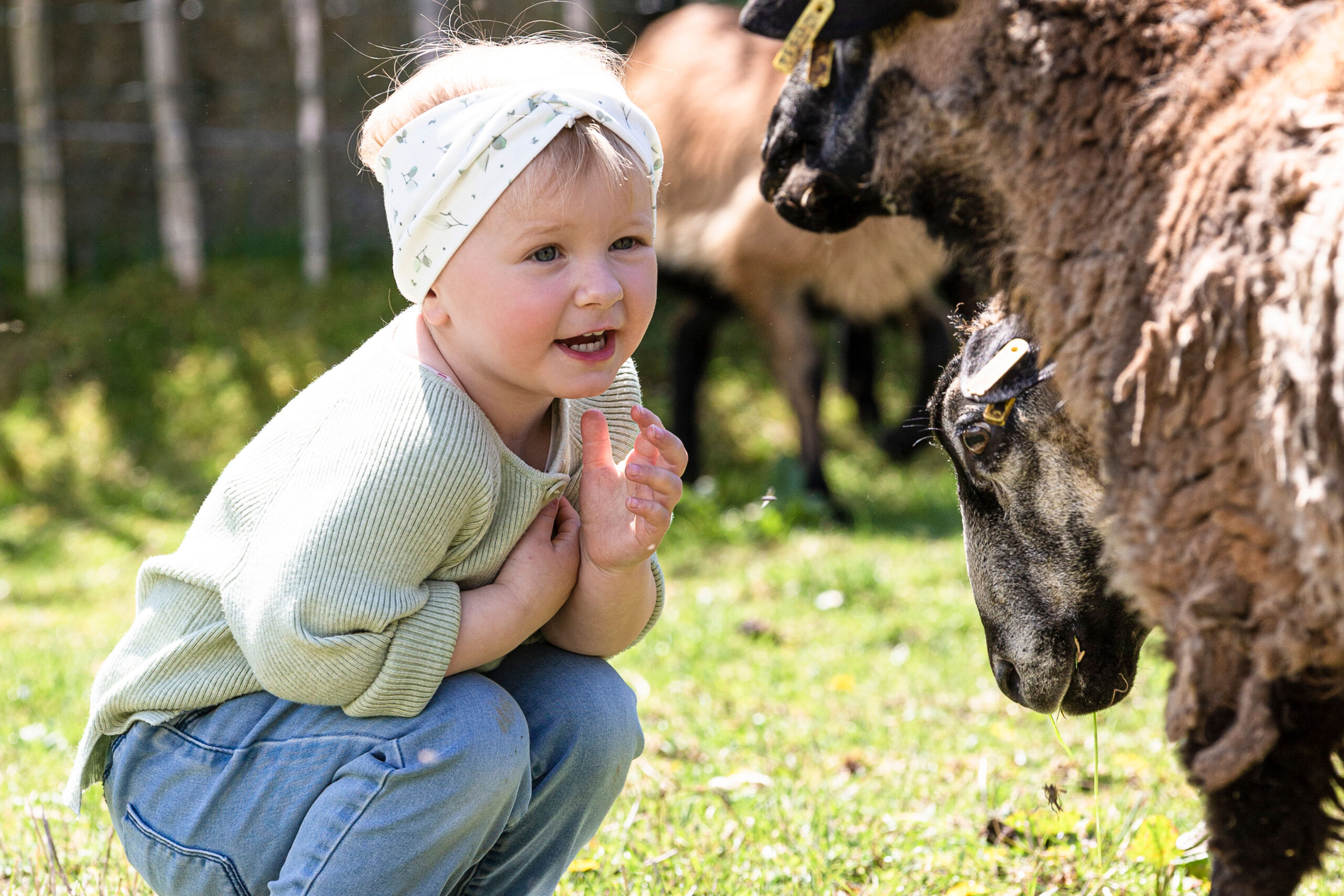 Familotel Tiere und Reiten