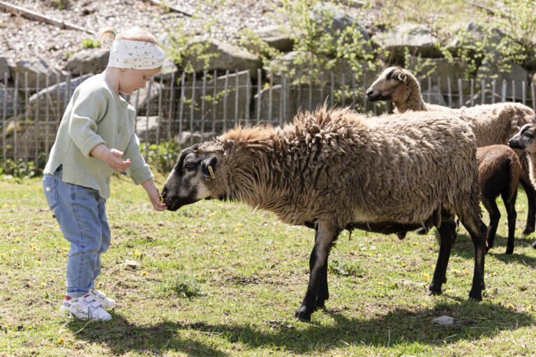 Tierische Erlebnisse für kleine Entdecker. Familotel. Der Hotelverbund für Familienurlaub.