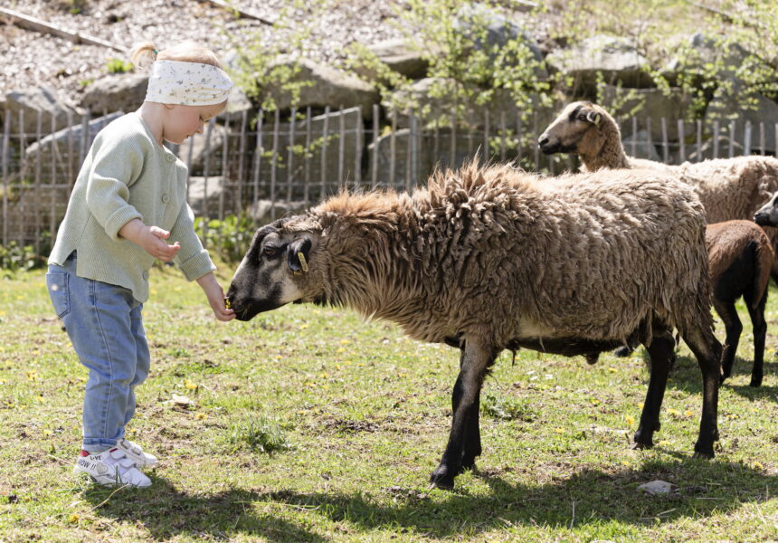 Tierische Erlebnisse für kleine Entdecker. Familotel. Der Hotelverbund für Familienurlaub.
